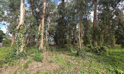 Oportunidad Se Vende Terreno,el Jaguel 1.385 Mts2 Esquinero.
