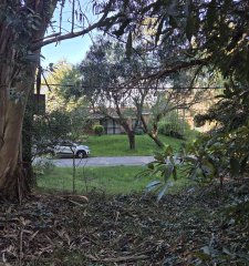Venta Terreno en Pinares