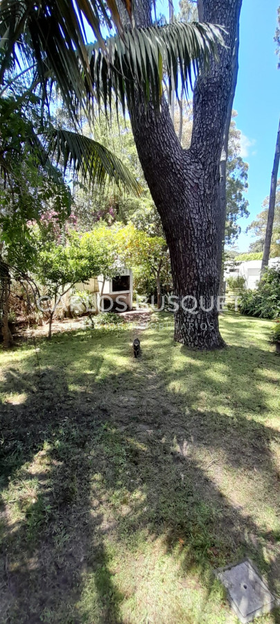 Casa ID.1060 - En Venta San Rafael, PDE Casa Tradicional, Cancha y Quincho en 1574m2 