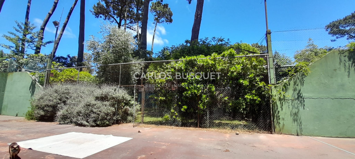 Casa ID.1060 - En Venta San Rafael, PDE Casa Tradicional, Cancha y Quincho en 1574m2 