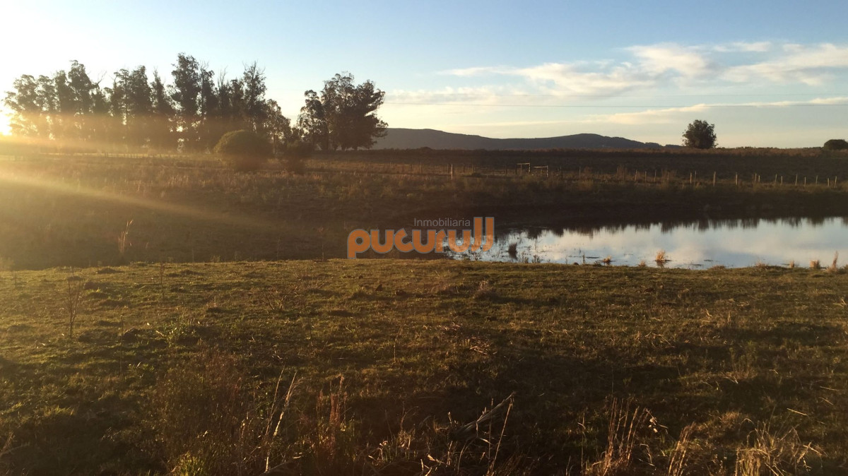 Chacra 5 Hectáreas, Tajamar y Vegetación, Ruta 12 - GoPunta - Portal Inmobiliario de Punta del Este - Maldonado