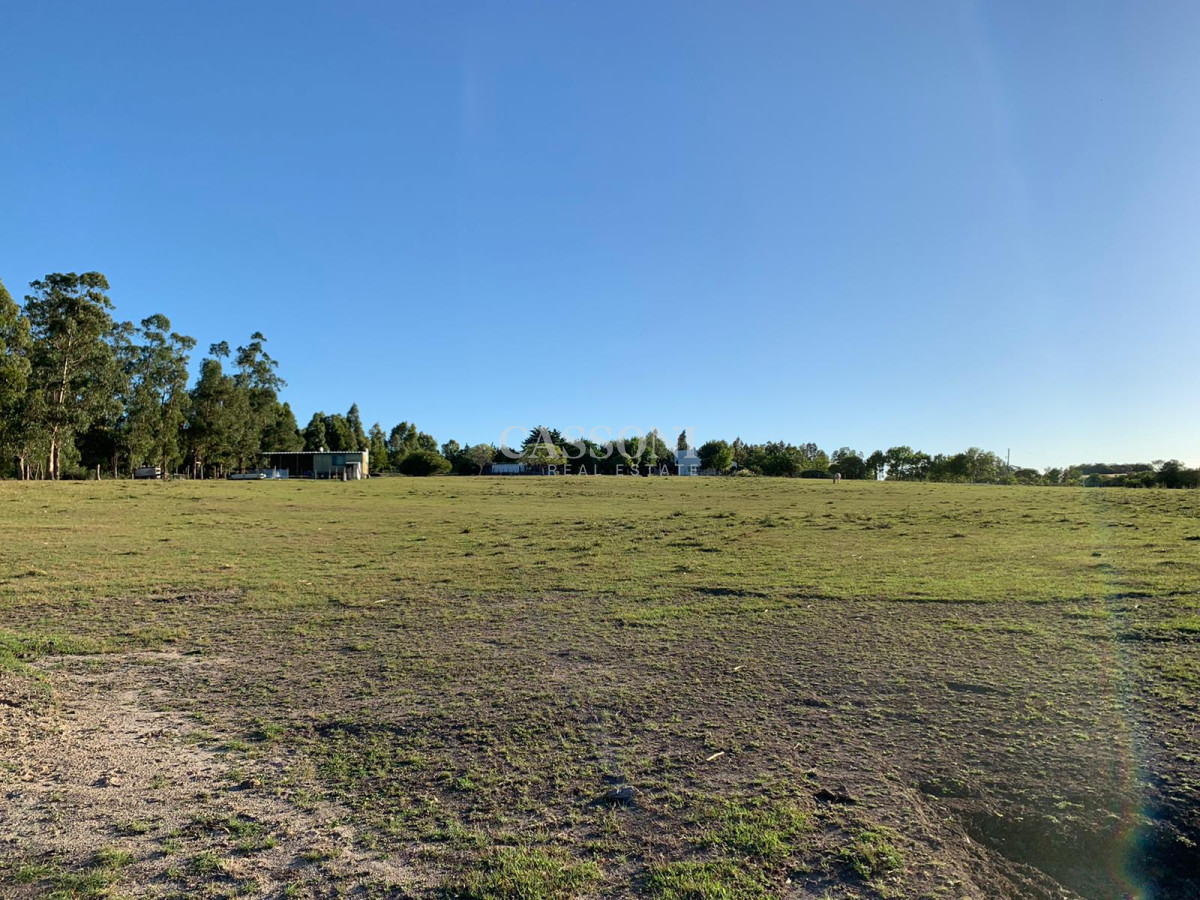 Chacra ID.3099 - OPORTUNIDAD: Preciosa Chacra Con Casa sobre Ruta 39, San Carlos, Maldonado