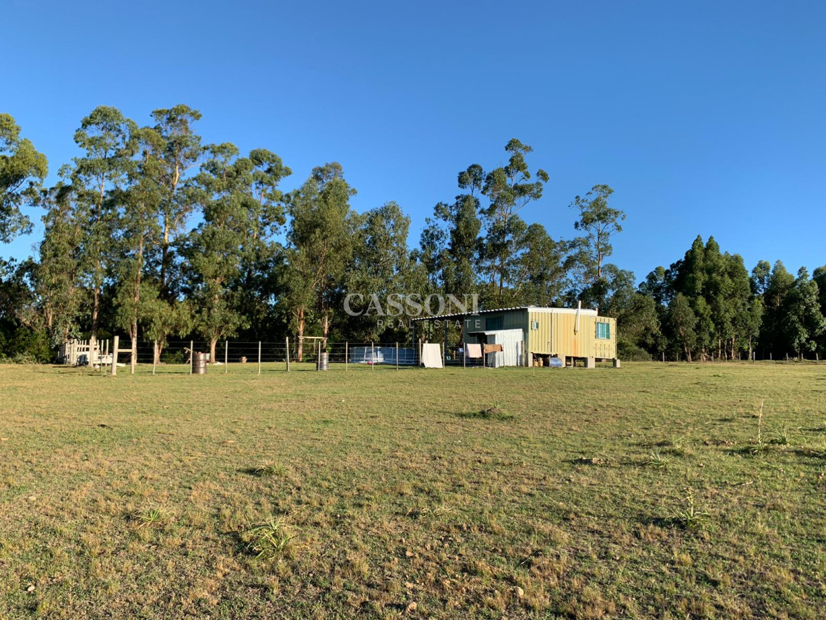 Chacra ID.3099 - OPORTUNIDAD: Preciosa Chacra Con Casa sobre Ruta 39, San Carlos, Maldonado