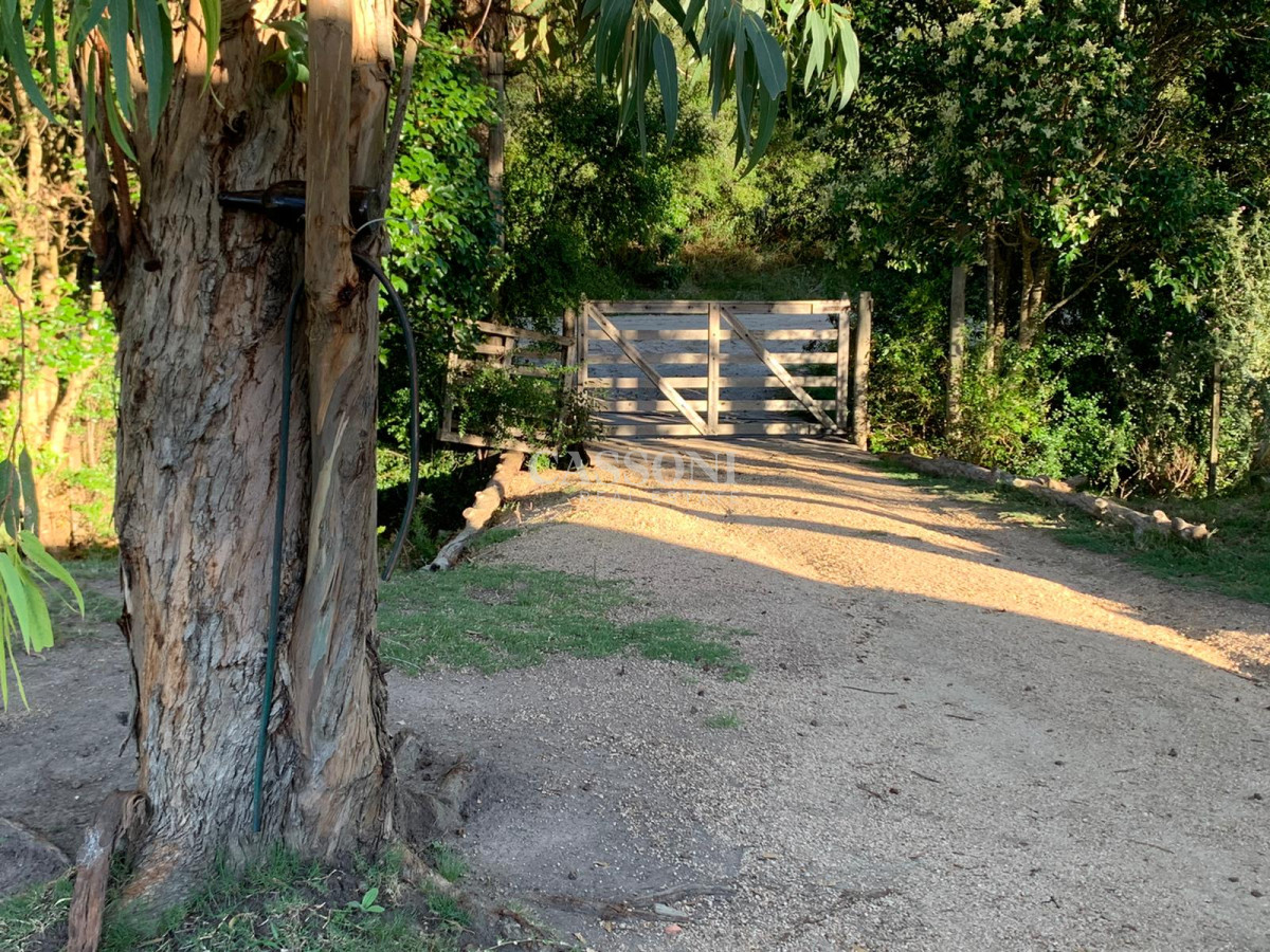 Chacra ID.3099 - OPORTUNIDAD: Preciosa Chacra Con Casa sobre Ruta 39, San Carlos, Maldonado
