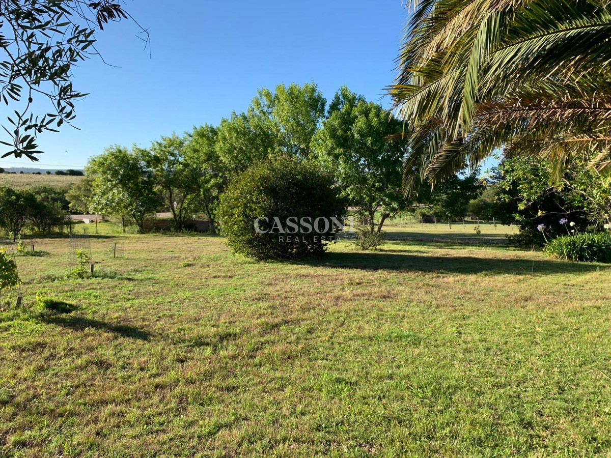 Chacra ID.3099 - OPORTUNIDAD: Preciosa Chacra Con Casa sobre Ruta 39, San Carlos, Maldonado