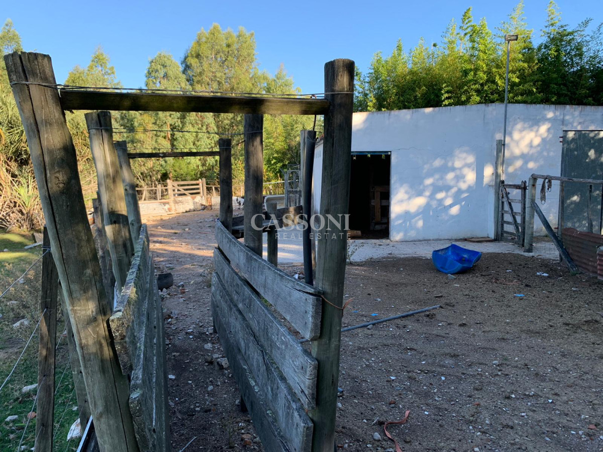 Chacra ID.3099 - OPORTUNIDAD: Preciosa Chacra Con Casa sobre Ruta 39, San Carlos, Maldonado