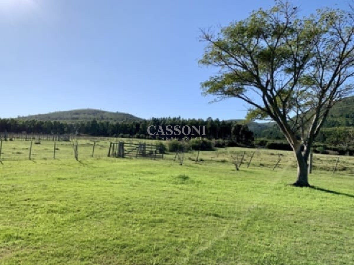 Chacra ID.3111 - Histórica Finca En Aznárez, Maldonado, Uruguay