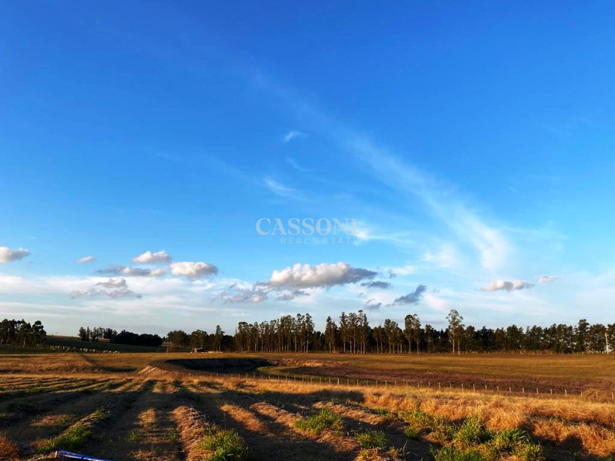 Campo Ref.2952 - 2 Chacras 5 Há Próximas A Camino Eguzquiza