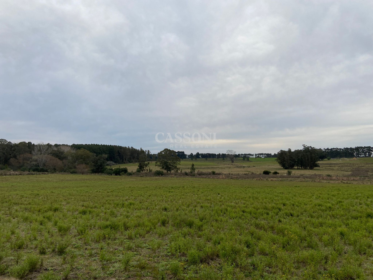 Campo Ref.2952 - 2 Chacras 5 Há Próximas A Camino Eguzquiza
