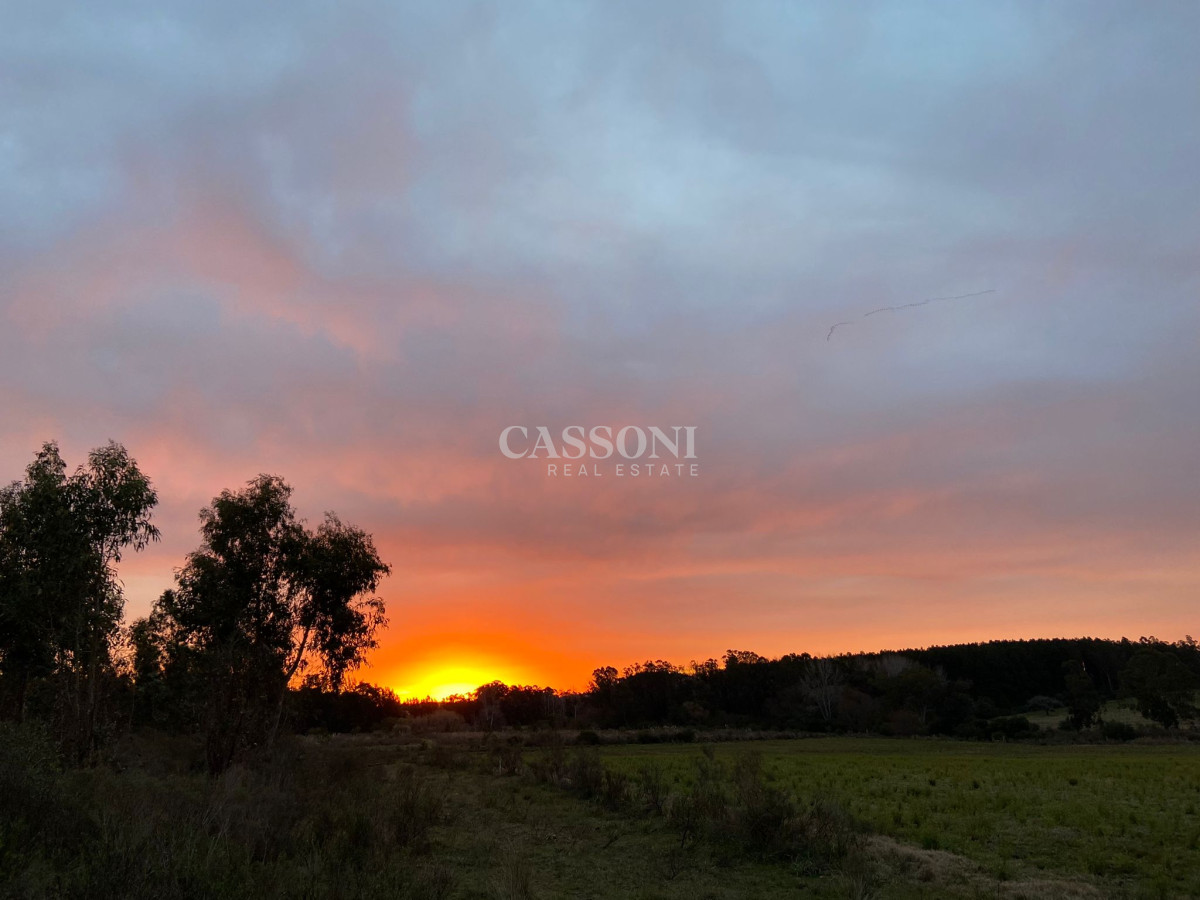 Campo Ref.2952 - 2 Chacras 5 Há Próximas A Camino Eguzquiza