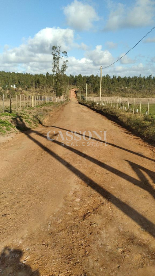 Campo Ref.2952 - 2 Chacras 5 Há Próximas A Camino Eguzquiza
