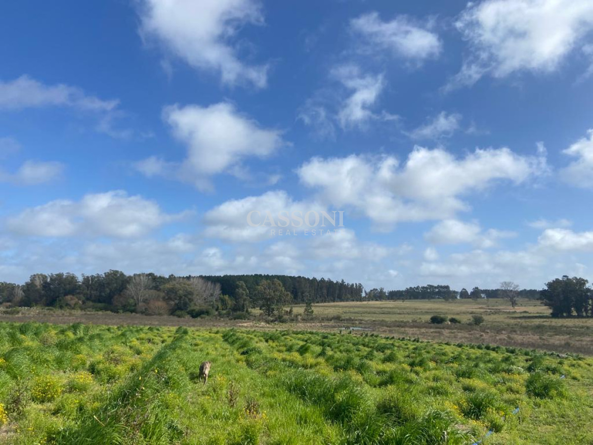 Campo Ref.2952 - 2 Chacras 5 Há Próximas A Camino Eguzquiza