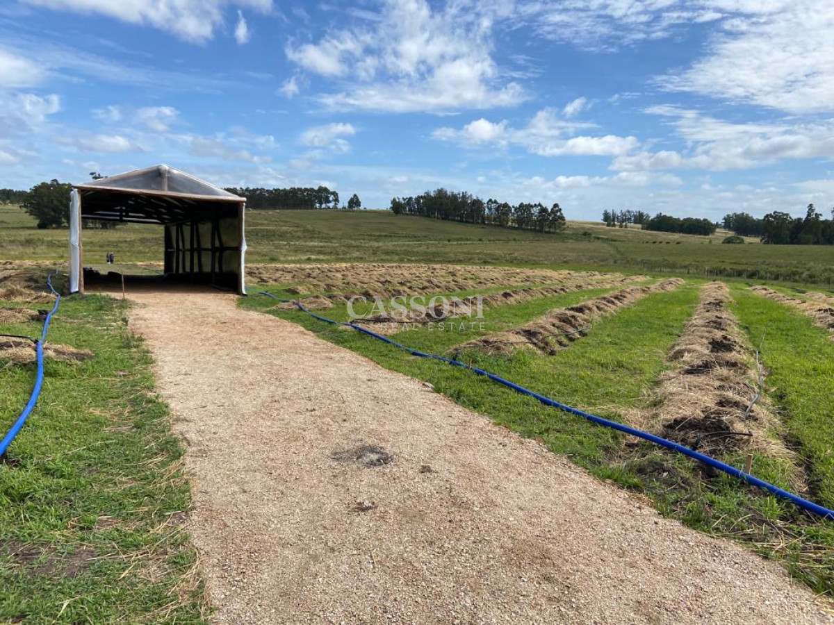 Campo Ref.2952 - 2 Chacras 5 Há Próximas A Camino Eguzquiza