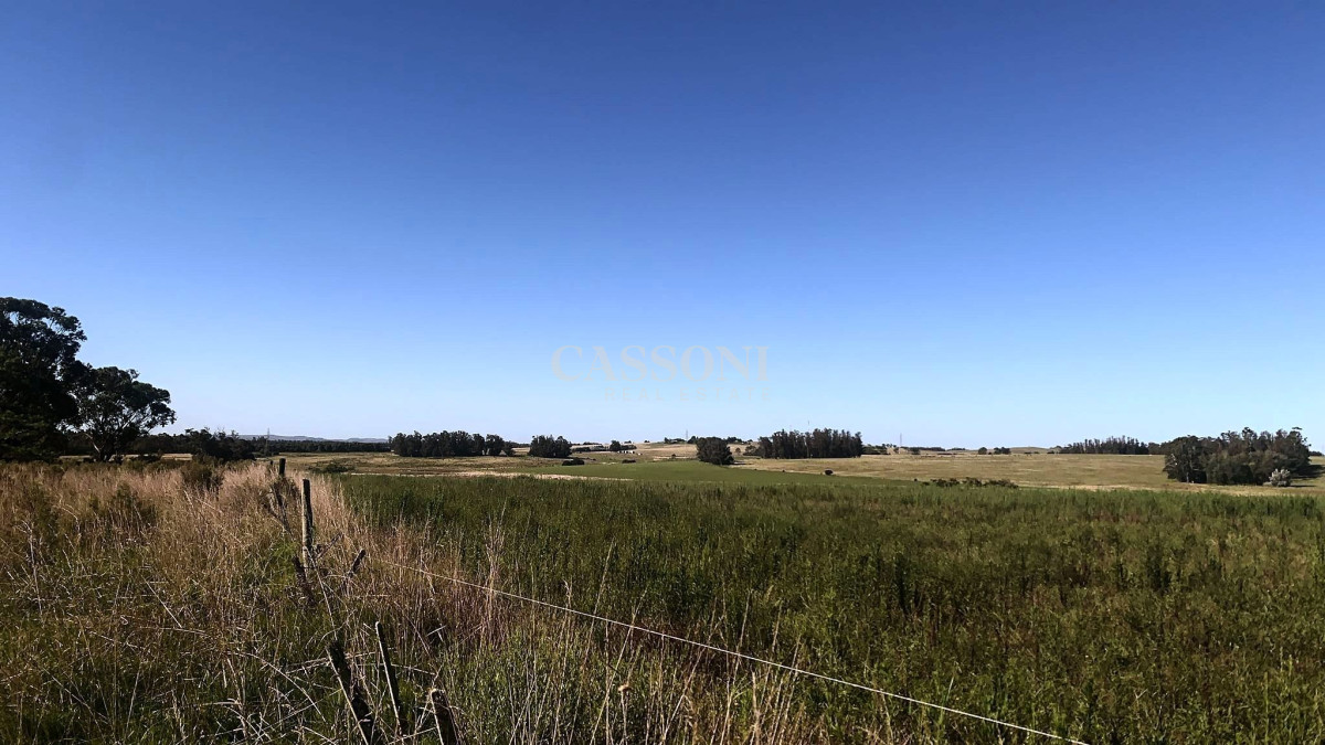 Campo Ref.2951 - 5 hectáreas en Ruta 104, Punta Piedras, Maldonado 