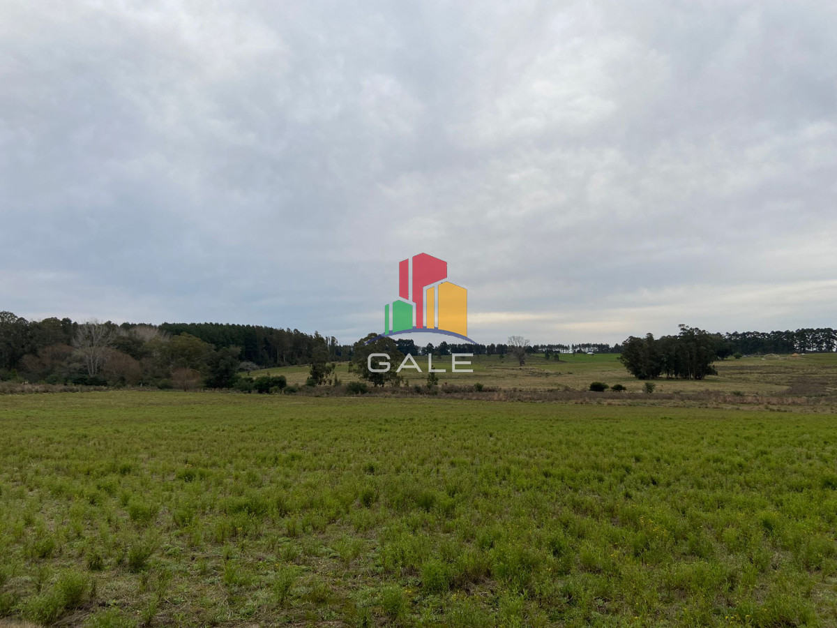 Campo Ref.3639 - Chacra 5 Há Próxima A Camino Eguzquiza