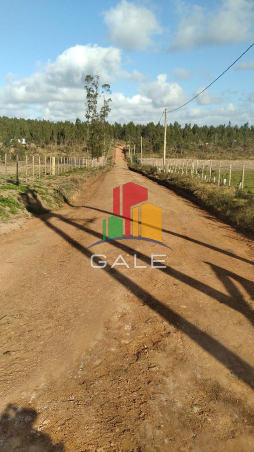 Campo Ref.3639 - Chacra 5 Há Próxima A Camino Eguzquiza