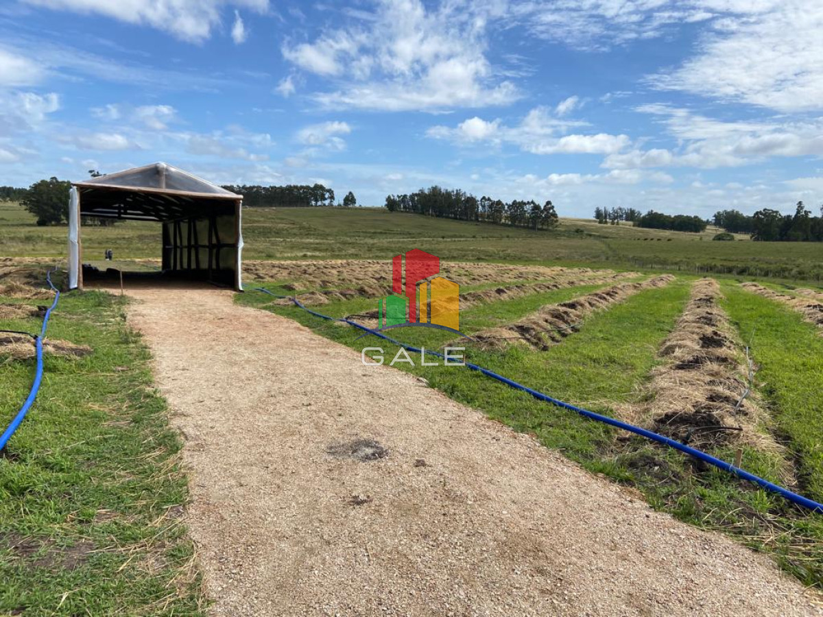 Campo Ref.3639 - Chacra 5 Há Próxima A Camino Eguzquiza