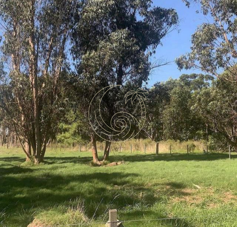 Campo Ref.21092600 - 5 hectáreas en Ruta 104, Punta Piedras, Maldonado 