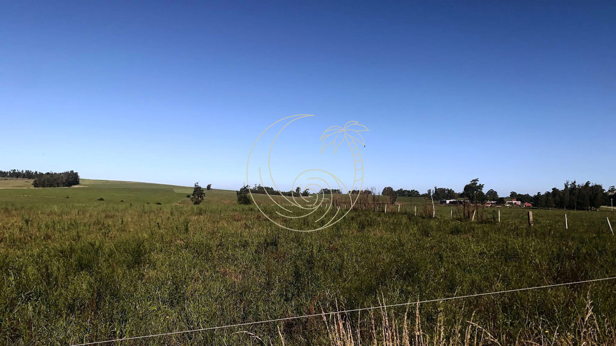 Campo Ref.21092600 - 5 hectáreas en Ruta 104, Punta Piedras, Maldonado 