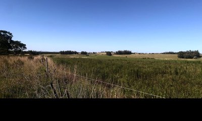 5 hectáreas en Ruta 104, Punta Piedras, Maldonado