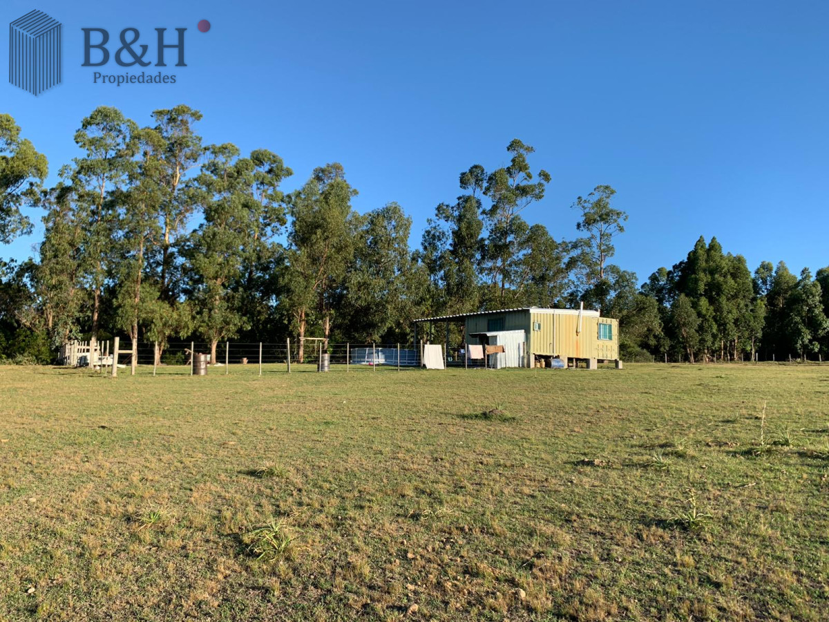 Chacra ID.2992 - OPORTUNIDAD: Preciosa Chacra Con Casa sobre Ruta 39, San Carlos, Maldonado