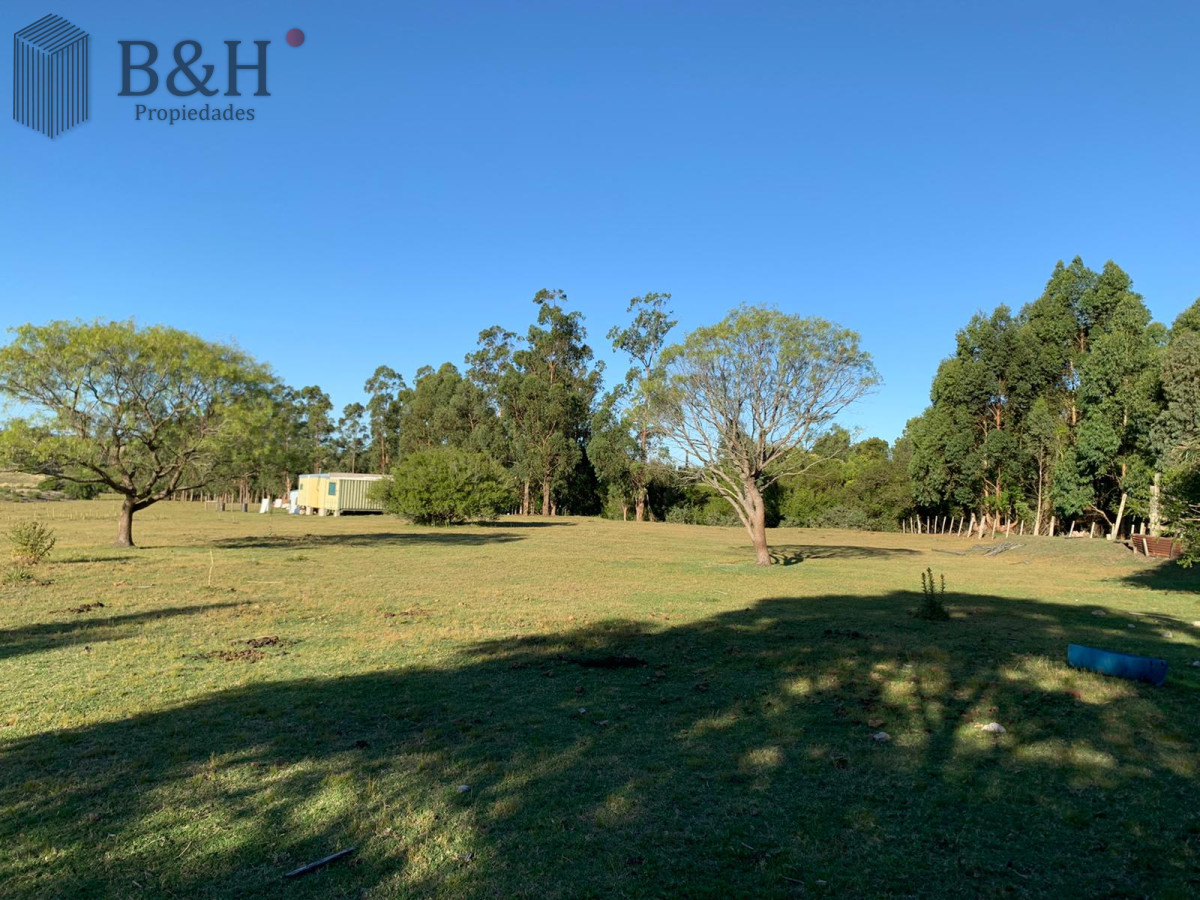 San Carlos - GoPunta - Portal Inmobiliario de Punta del Este - Maldonado
