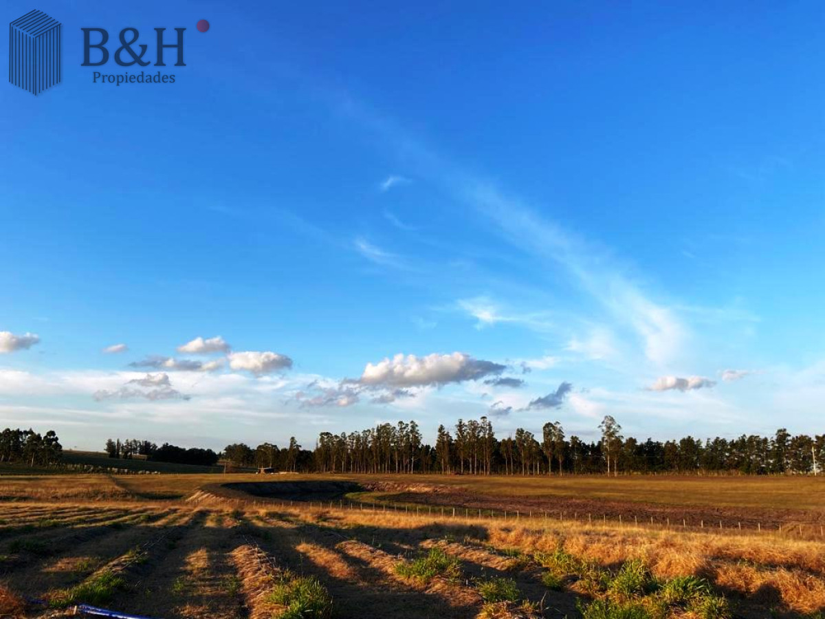 2 Chacras 5 Há Próximas A Camino Eguzquiza - GoPunta - Portal Inmobiliario de Punta del Este - Maldonado