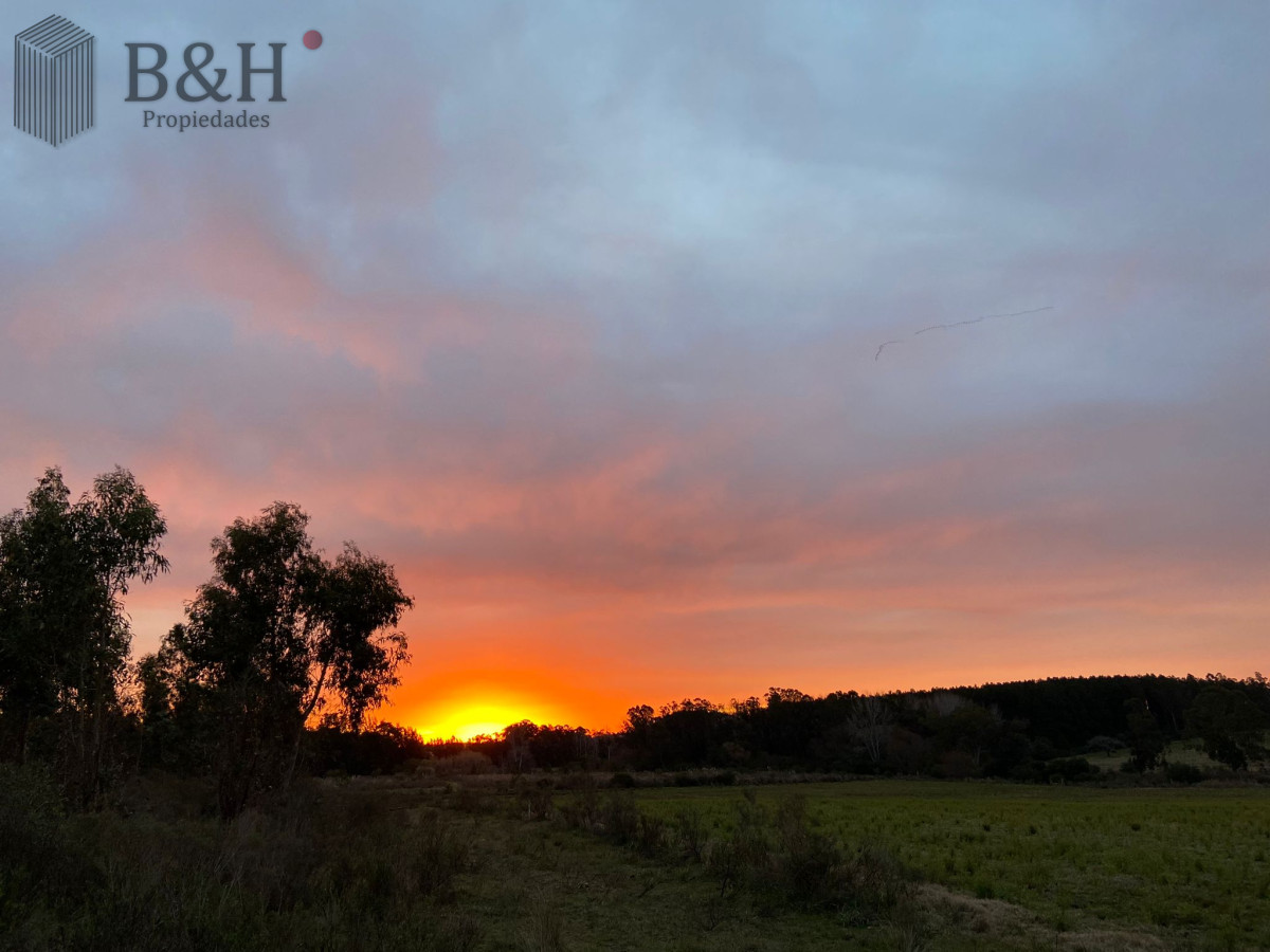 Campo Ref.3090 - 2 Chacras 5 Há Próximas A Camino Eguzquiza