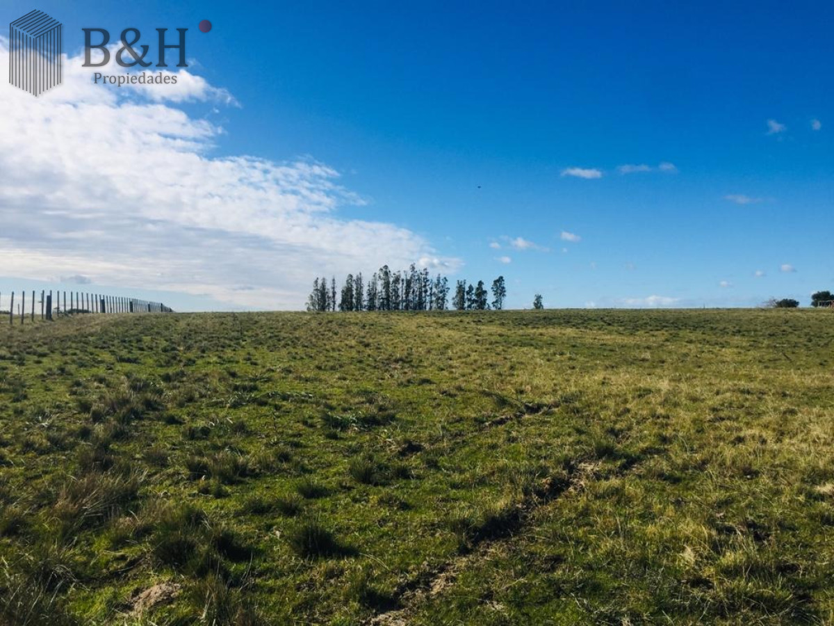 Campo Ref.3306 - Campos en Ruta 39, a 10km de San Carlos