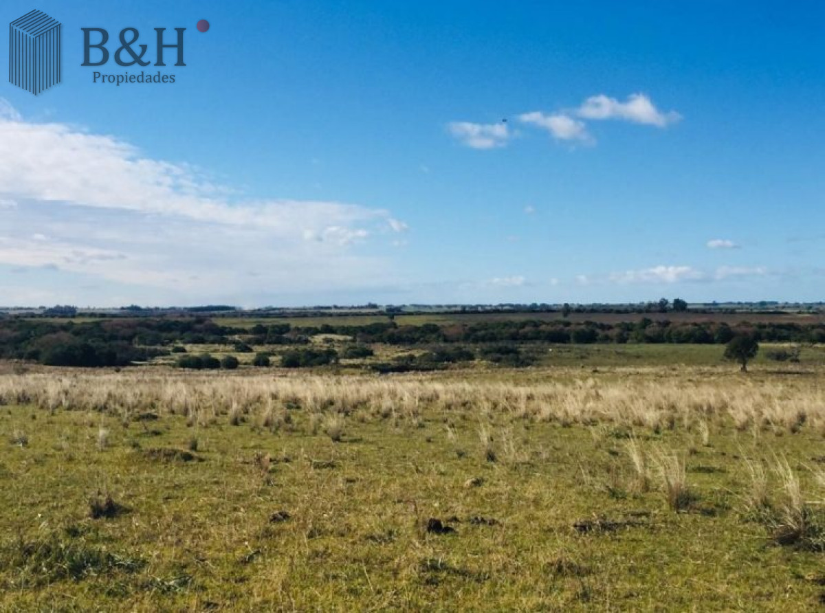 Campo Ref.3306 - Campos en Ruta 39, a 10km de San Carlos