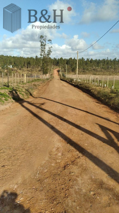 Campo Ref.3090 - 2 Chacras 5 Há Próximas A Camino Eguzquiza