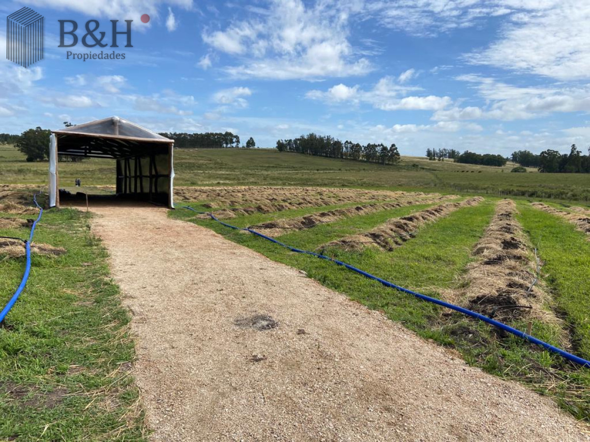Campo Ref.3090 - 2 Chacras 5 Há Próximas A Camino Eguzquiza