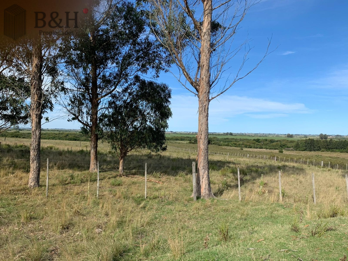 Campo Ref.3306 - Campos en Ruta 39, a 10km de San Carlos
