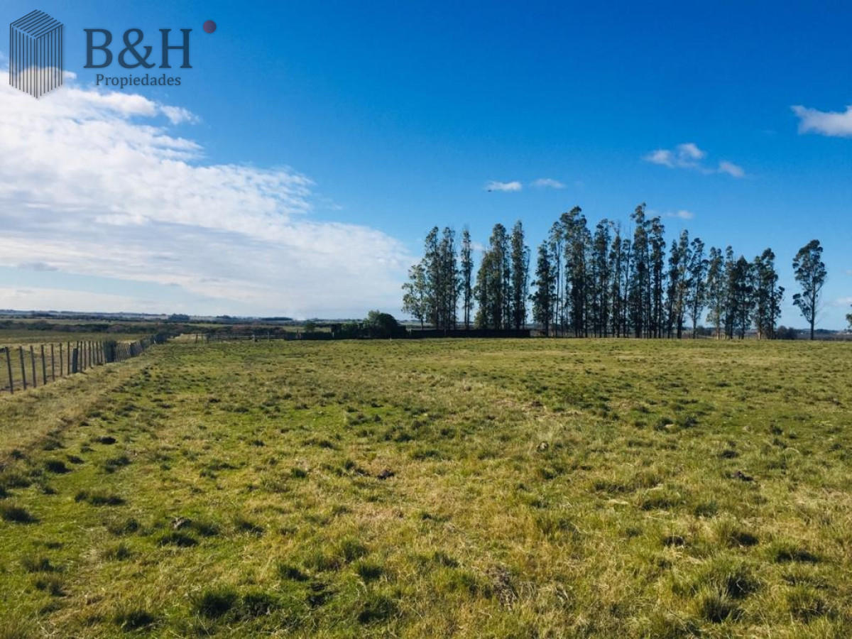 Campo Ref.3306 - Campos en Ruta 39, a 10km de San Carlos