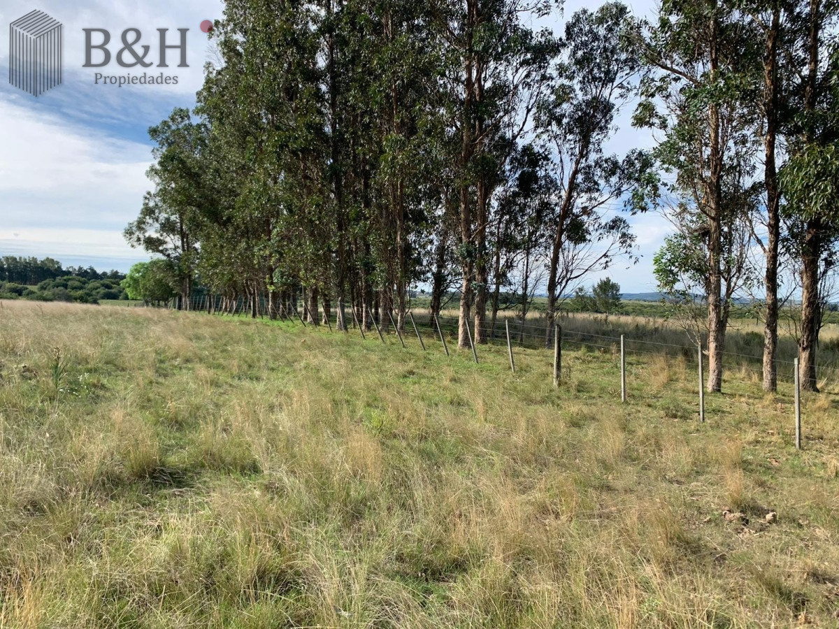Campo Ref.3306 - Campos en Ruta 39, a 10km de San Carlos