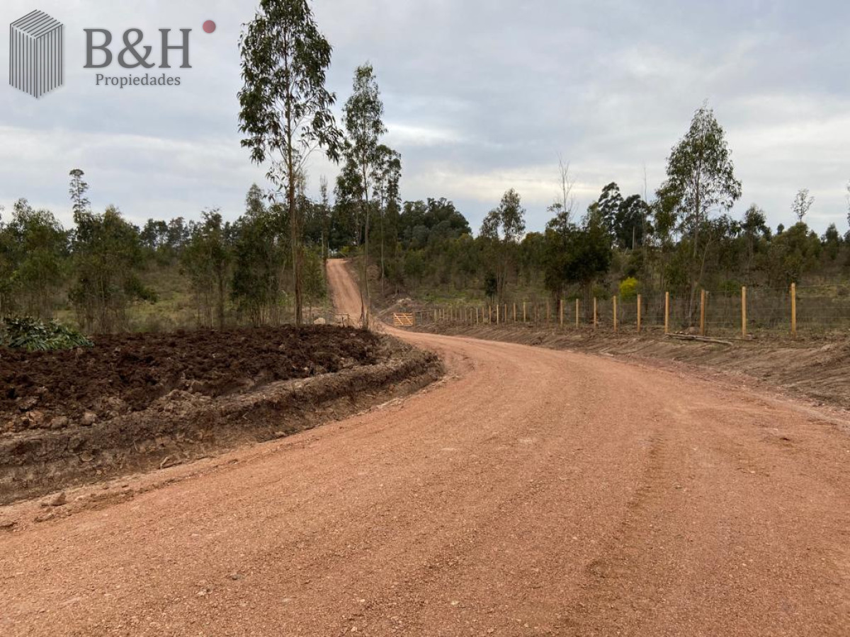 Campo Ref.3090 - 2 Chacras 5 Há Próximas A Camino Eguzquiza
