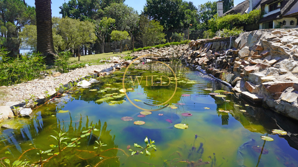 Chacra ID.2163 - Viví una Experiencia Única En Chacra Con Actividades en Laguna Del Sauce, Punta del Este