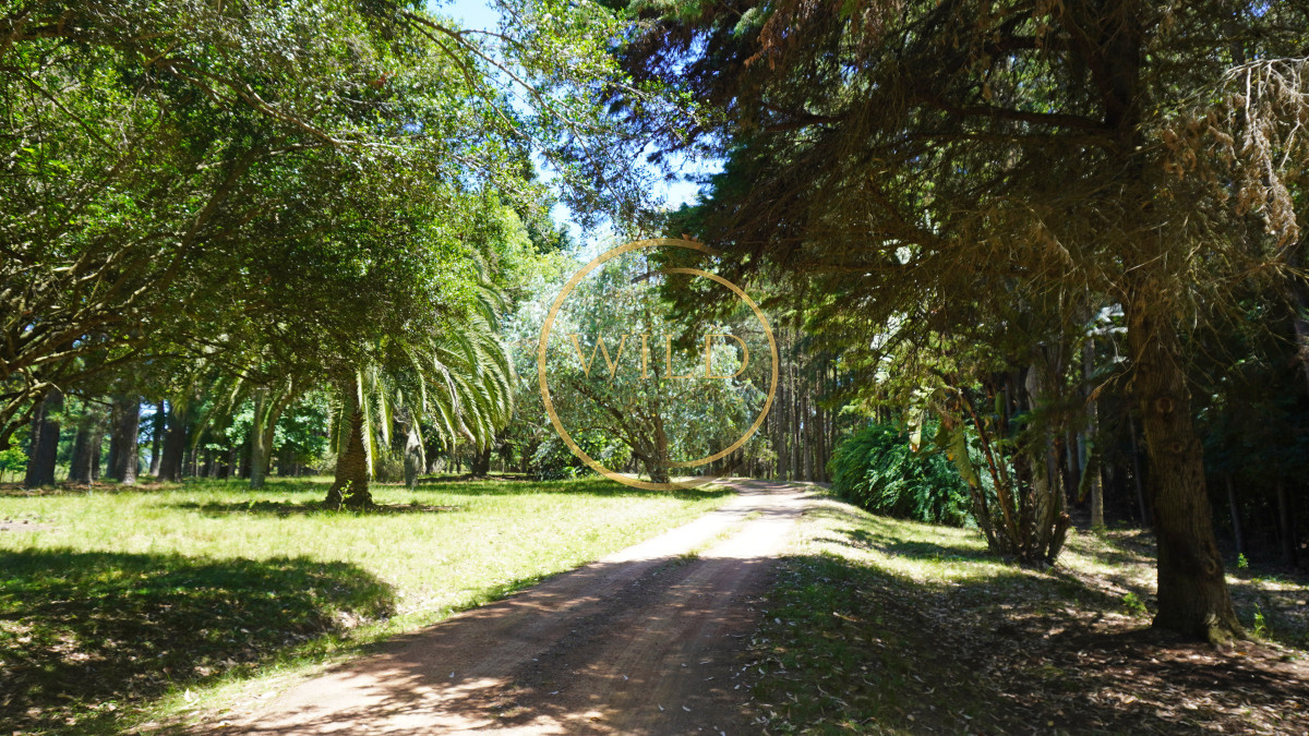 Chacra ID.2163 - Viví una Experiencia Única En Chacra Con Actividades en Laguna Del Sauce, Punta del Este