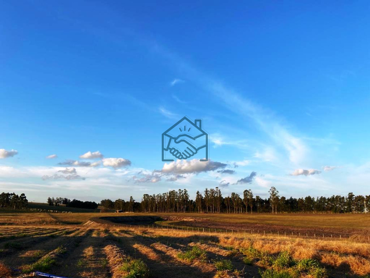 Campo Ref.927/2-Chacras-5-Há-Próximas-A-Camino-Eguzquiza - 2 Chacras 5 Há Próximas A Camino Eguzquiza