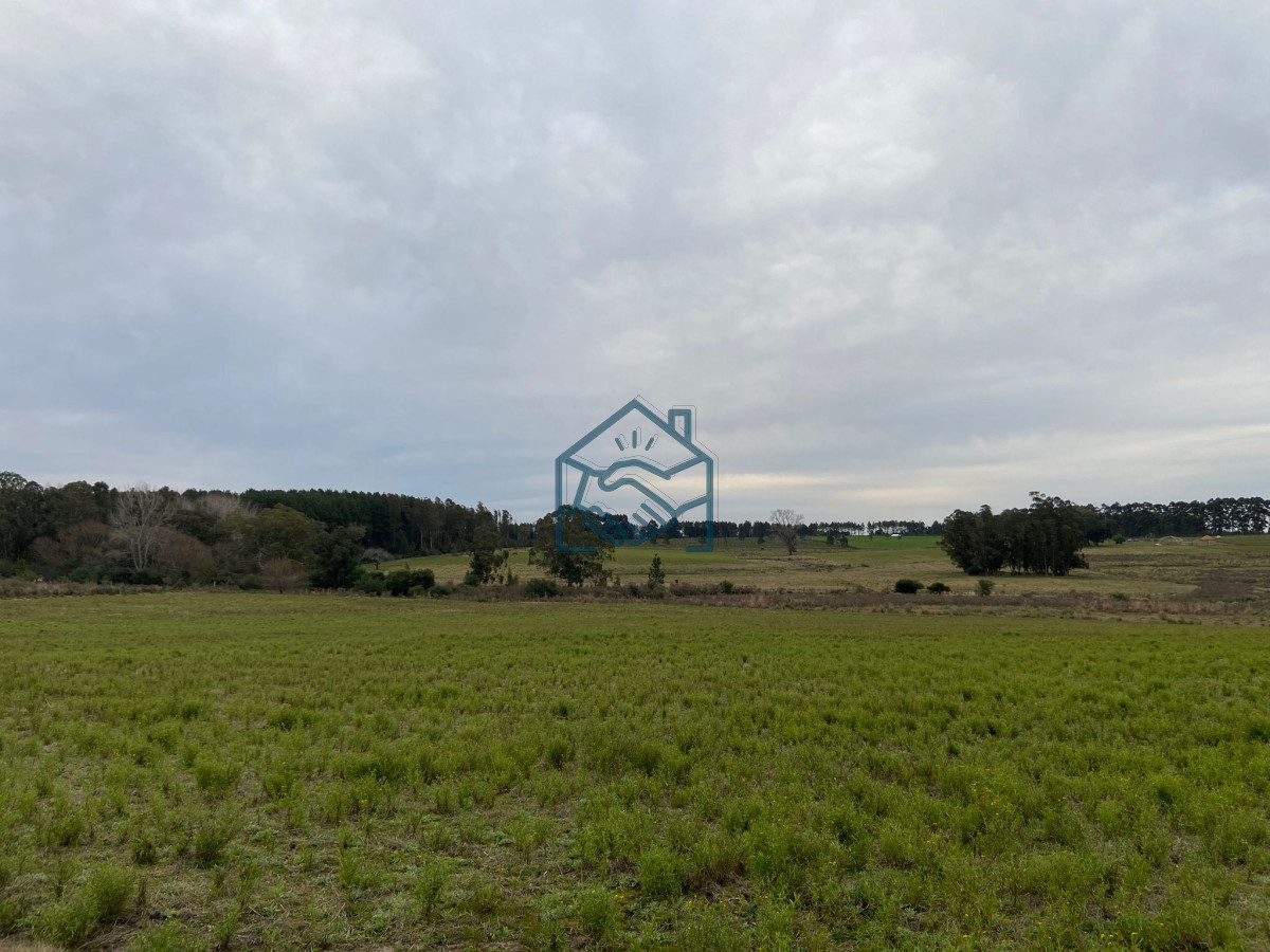 Campo Ref.927/2-Chacras-5-Há-Próximas-A-Camino-Eguzquiza - 2 Chacras 5 Há Próximas A Camino Eguzquiza