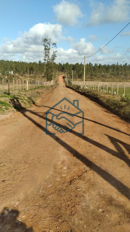 Campo Ref.927/2-Chacras-5-Há-Próximas-A-Camino-Eguzquiza - 2 Chacras 5 Há Próximas A Camino Eguzquiza