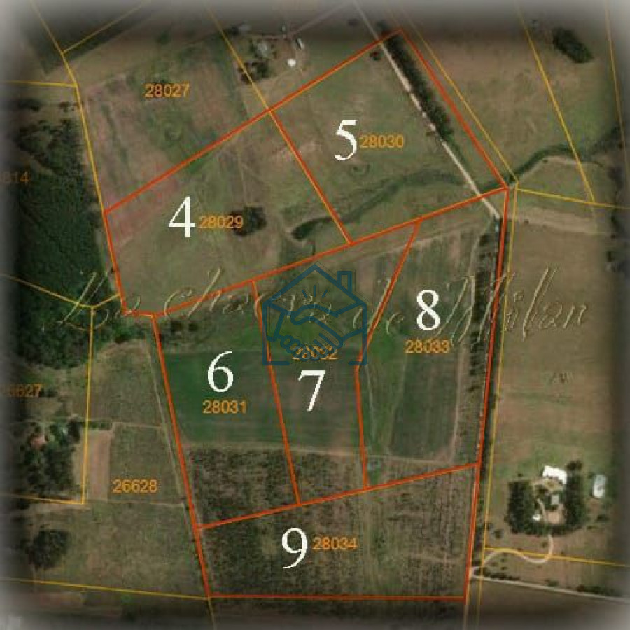 Campo Ref.927/2-Chacras-5-Há-Próximas-A-Camino-Eguzquiza - 2 Chacras 5 Há Próximas A Camino Eguzquiza