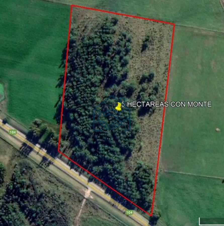 Campo Ref.926/5-hectáreas-en-Ruta-104,-Punta-Piedras,-Maldonado- - 5 hectáreas en Ruta 104, Punta Piedras, Maldonado 