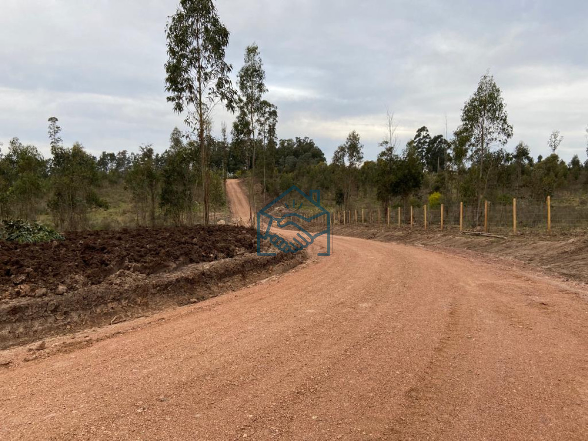 Campo Ref.927/2-Chacras-5-Há-Próximas-A-Camino-Eguzquiza - 2 Chacras 5 Há Próximas A Camino Eguzquiza