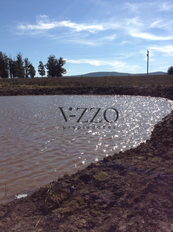 Terreno ID.1212/Chacra-5-Hectáreas,-Tajamar-y-Vegetación,-Ruta-12 - Chacra 5 Hectáreas, Tajamar y Vegetación, Ruta 12
