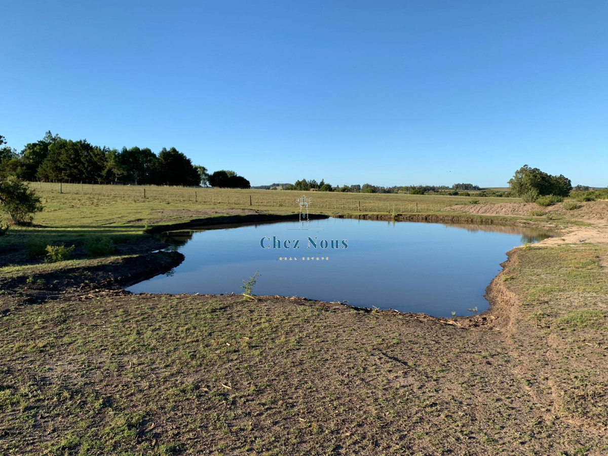 Chacra ID.368 - OPORTUNIDAD: Preciosa Chacra Con Casa sobre Ruta 39, San Carlos, Maldonado