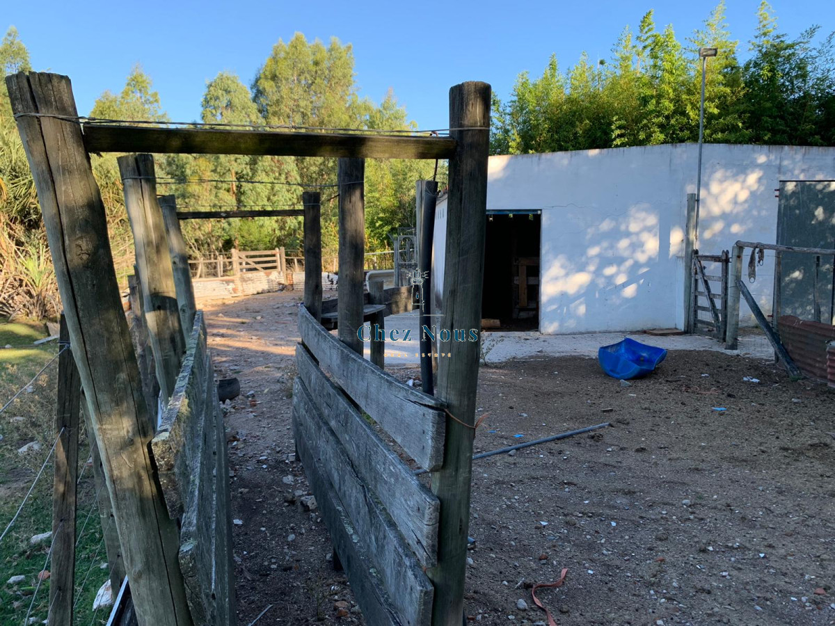 Chacra ID.368 - OPORTUNIDAD: Preciosa Chacra Con Casa sobre Ruta 39, San Carlos, Maldonado