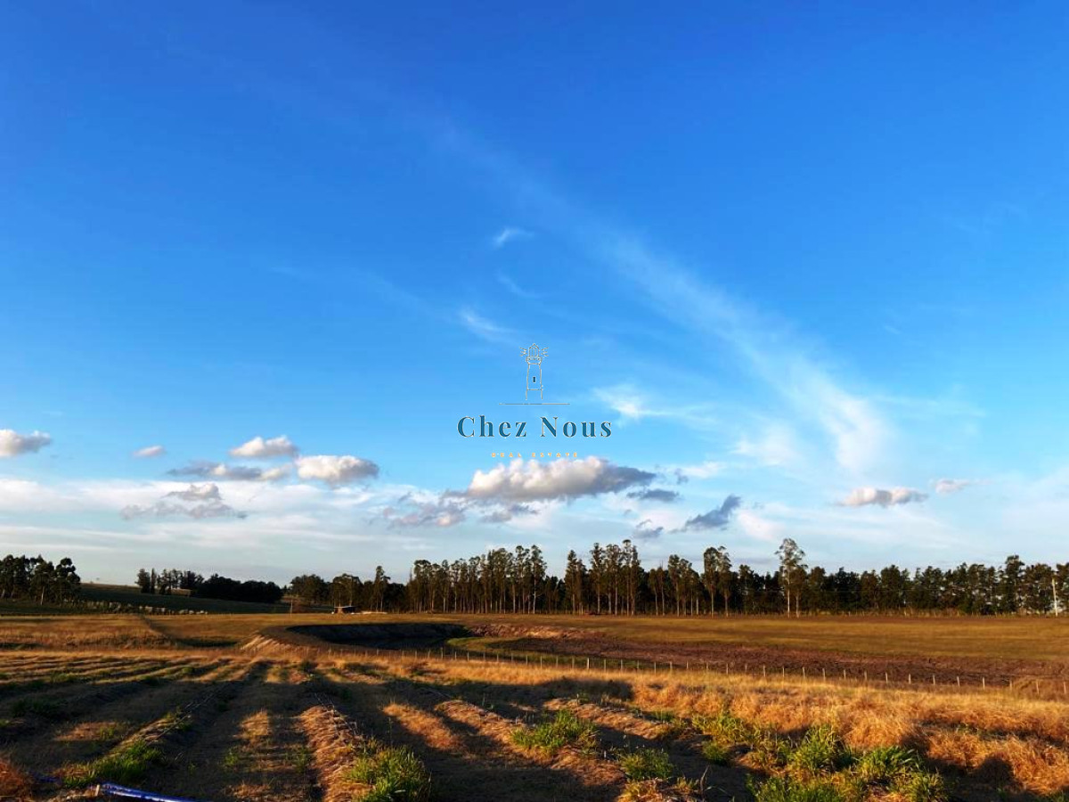 Campo Ref.328 - 2 Chacras 5 Há Próximas A Camino Eguzquiza