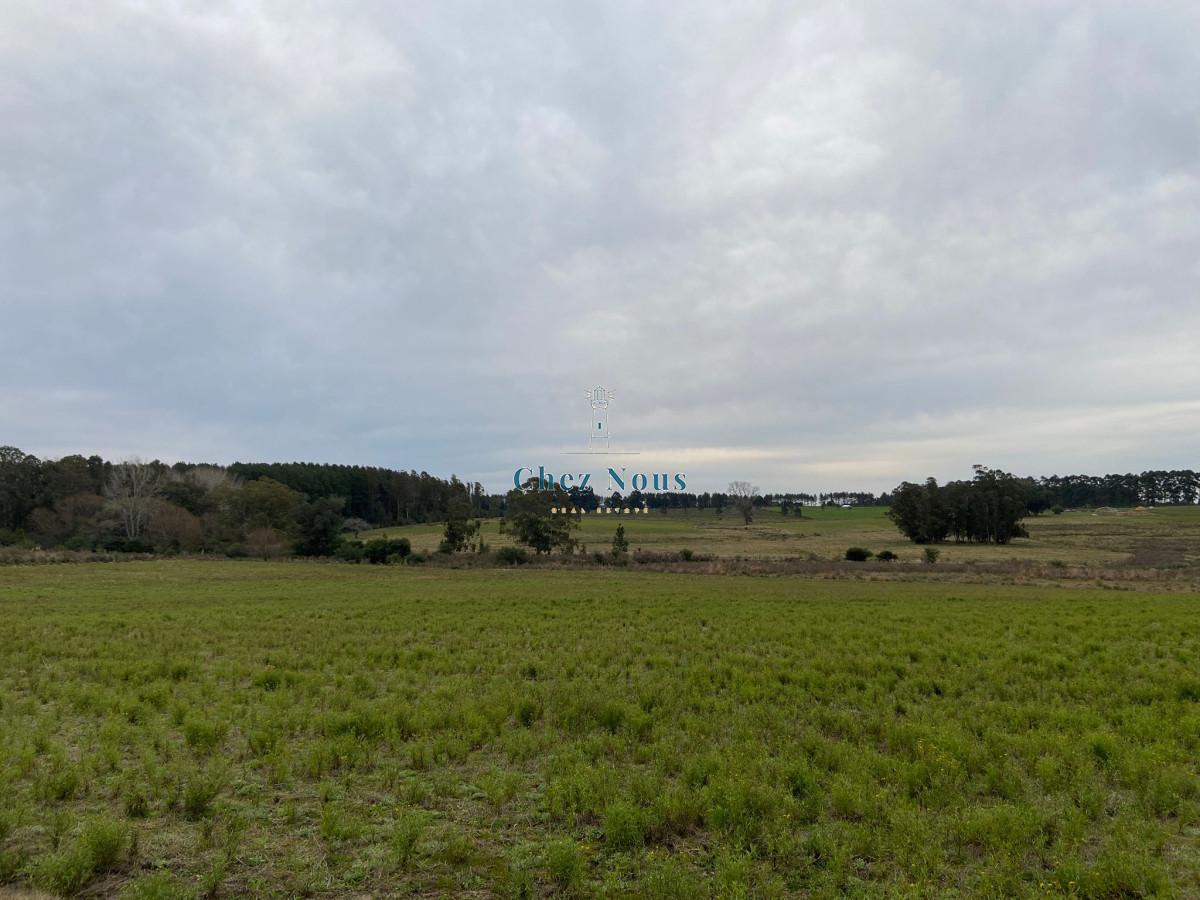 Campo Ref.328 - 2 Chacras 5 Há Próximas A Camino Eguzquiza