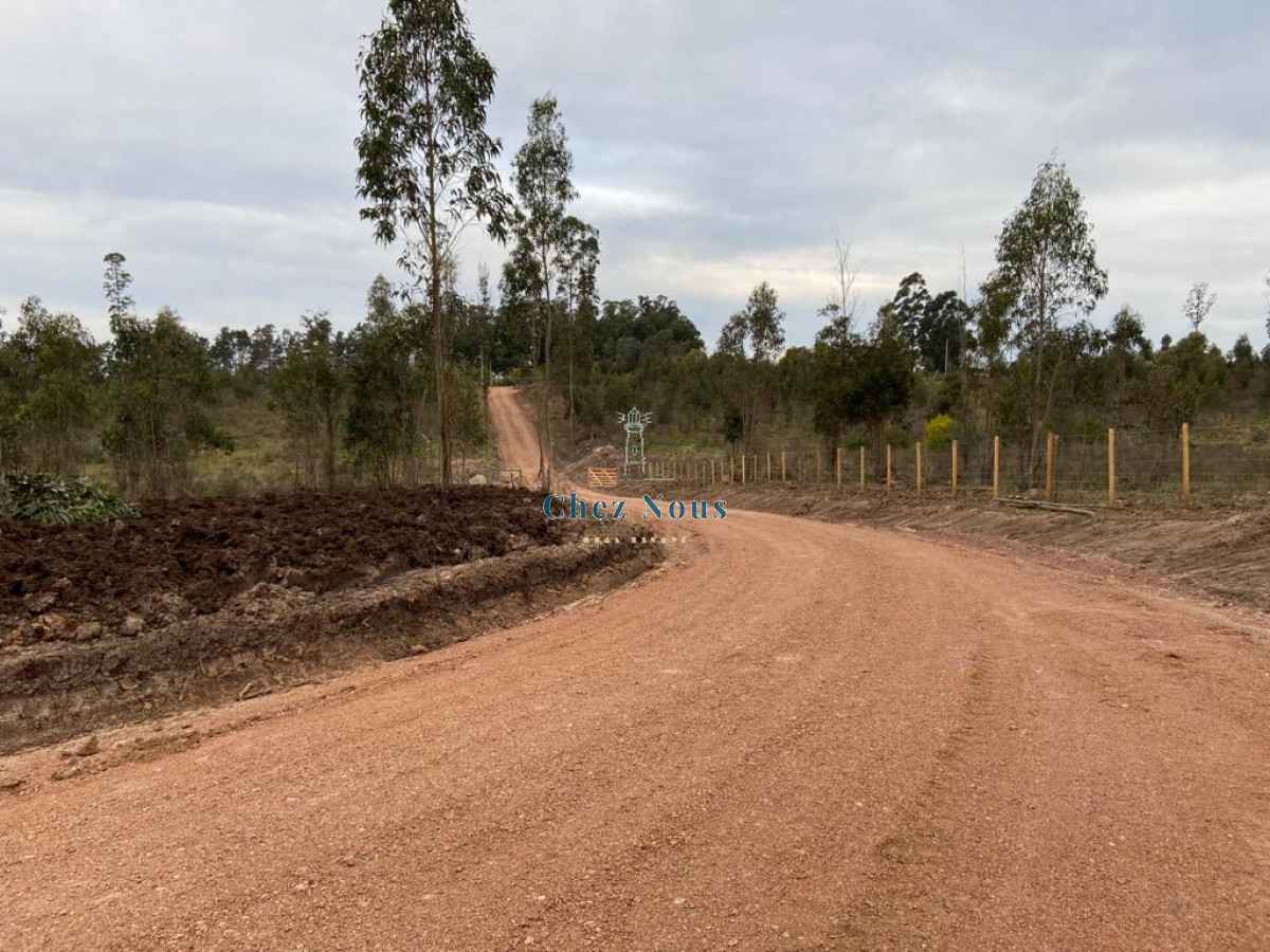 Campo Ref.328 - 2 Chacras 5 Há Próximas A Camino Eguzquiza
